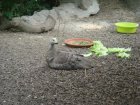 487-dsc00595.jpg.small.jpeg