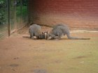 494-dsc00602.jpg.small.jpeg