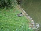 496-dsc00604.jpg.small.jpeg