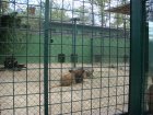 497-dsc00605.jpg.small.jpeg