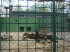 498-dsc00606.jpg.small.jpeg