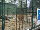 499-dsc00607.jpg.small.jpeg