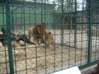 500-dsc00608.jpg.small.jpeg