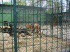 501-dsc00609.jpg.small.jpeg