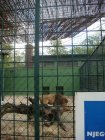 502-dsc00610.jpg.small.jpeg