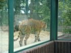 504-dsc00612.jpg.small.jpeg