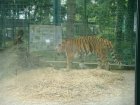 505-dsc00613.jpg.small.jpeg