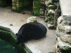 508-dsc00616.jpg.small.jpeg