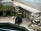 509-dsc00617.jpg.small.jpeg