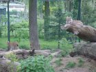 512-dsc00620.jpg.small.jpeg
