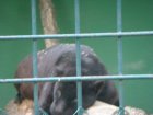514-dsc00622.jpg.small.jpeg
