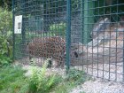 515-dsc00623.jpg.small.jpeg