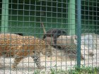 516-dsc00624.jpg.small.jpeg