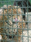 518-dsc00626.jpg.small.jpeg