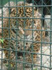519-dsc00627.jpg.small.jpeg