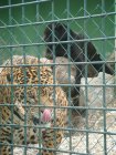 520-dsc00628.jpg.small.jpeg