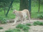 524-dsc00632.jpg.small.jpeg