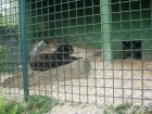 527-dsc00635.jpg.small.jpeg