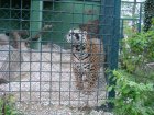 528-dsc00636.jpg.small.jpeg