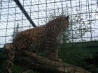 530-dsc00638.jpg.small.jpeg