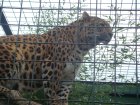 532-dsc00640.jpg.small.jpeg