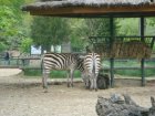 533-dsc00641.jpg.small.jpeg
