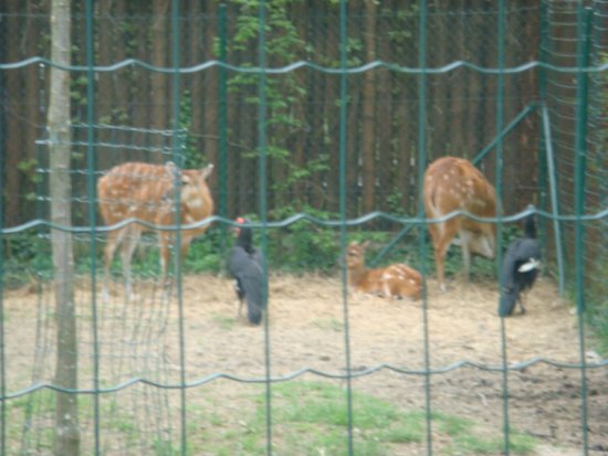 534-dsc00642.jpg.medium.jpeg