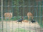 535-dsc00643.jpg.small.jpeg