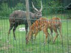 536-dsc00644.jpg.small.jpeg