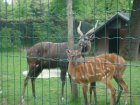 537-dsc00645.jpg.small.jpeg