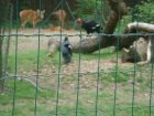 538-dsc00646.jpg.small.jpeg
