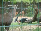 539-dsc00647.jpg.small.jpeg