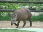 540-dsc00648.jpg.small.jpeg