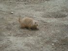 543-dsc00651.jpg.small.jpeg