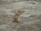 544-dsc00652.jpg.small.jpeg