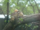 546-dsc00654.jpg.small.jpeg