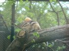 547-dsc00655.jpg.small.jpeg