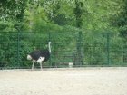 549-dsc00657.jpg.small.jpeg