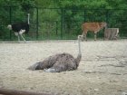 550-dsc00658.jpg.small.jpeg