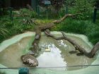551-dsc00659.jpg.small.jpeg