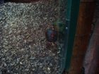 553-dsc00661.jpg.small.jpeg