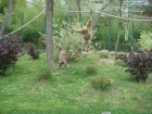 560-dsc00668.jpg.small.jpeg