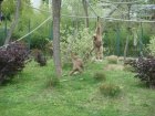 561-dsc00669.jpg.small.jpeg