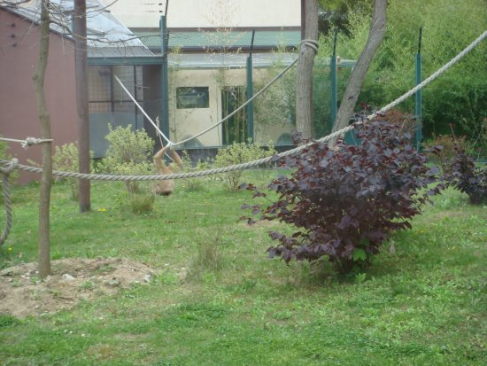 562-dsc00670.jpg.medium.jpeg