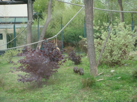 563-dsc00671.jpg.medium.jpeg