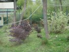 563-dsc00671.jpg.small.jpeg