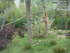 564-dsc00672.jpg.small.jpeg