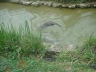 565-dsc00673.jpg.small.jpeg