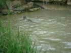 566-dsc00674.jpg.small.jpeg