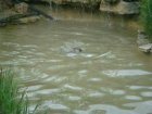 567-dsc00675.jpg.small.jpeg